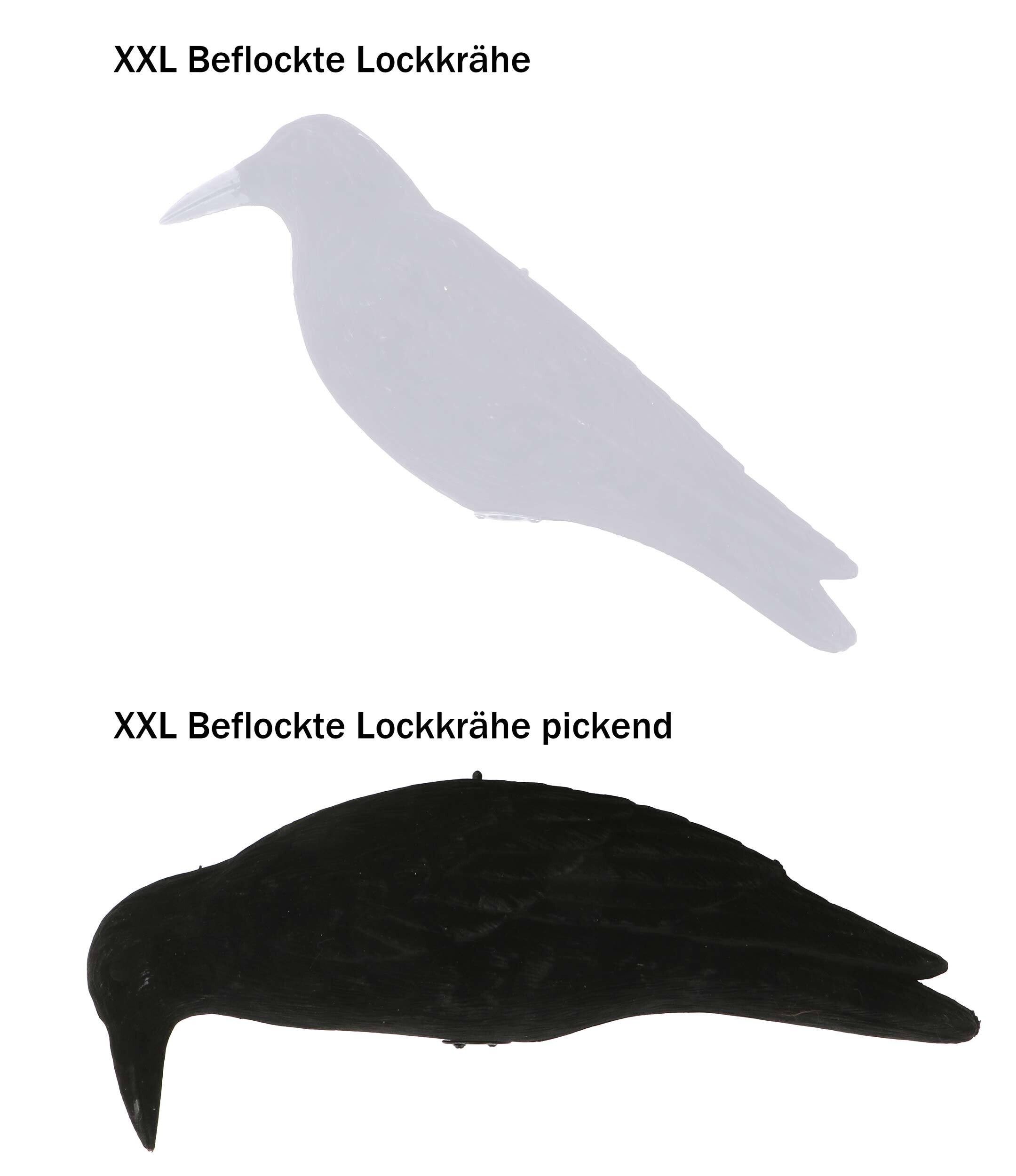 XXL beflockte Lockkrähe pickend XXL beflockte Lockkrähe pickend