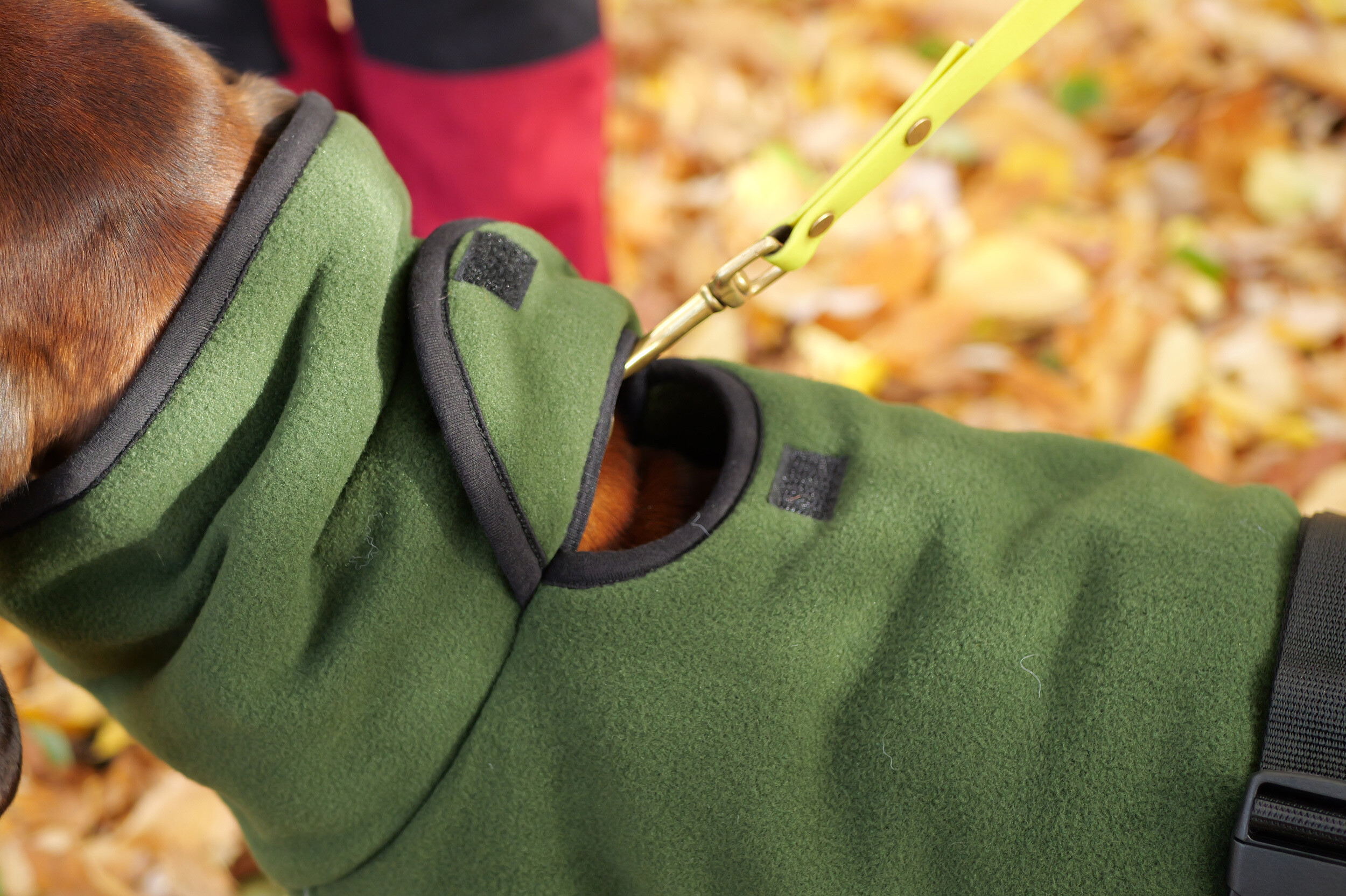 Actionfactory Hundemantel Warmup Cape Pro (pine green)