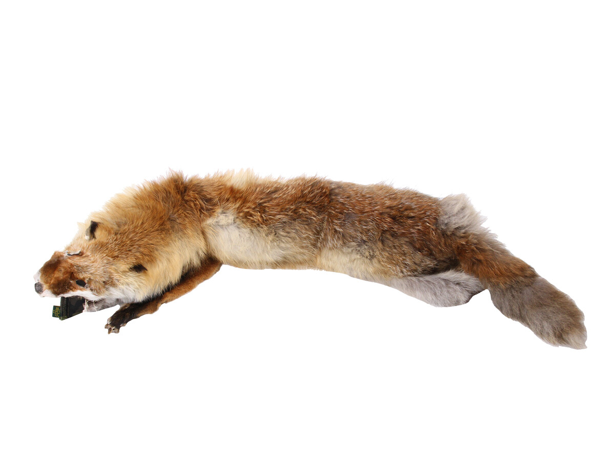 Dummy mit Fuchsbalg