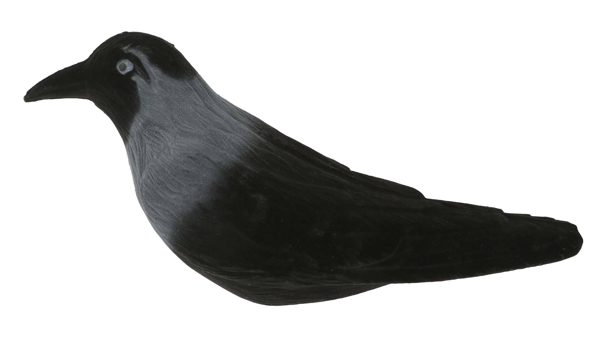 Beflockte Lockdohle Beflockte Lockdohle