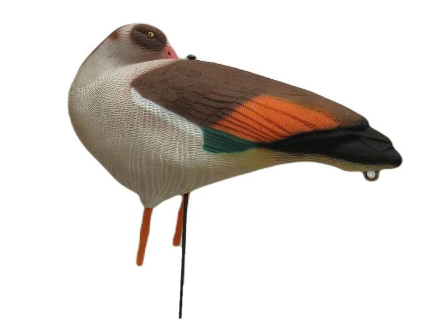 Vollkörper-Lockvögel Nilgans (6 Stück) Vollkörper-Lockvögel Nilgans (6 Stück)
