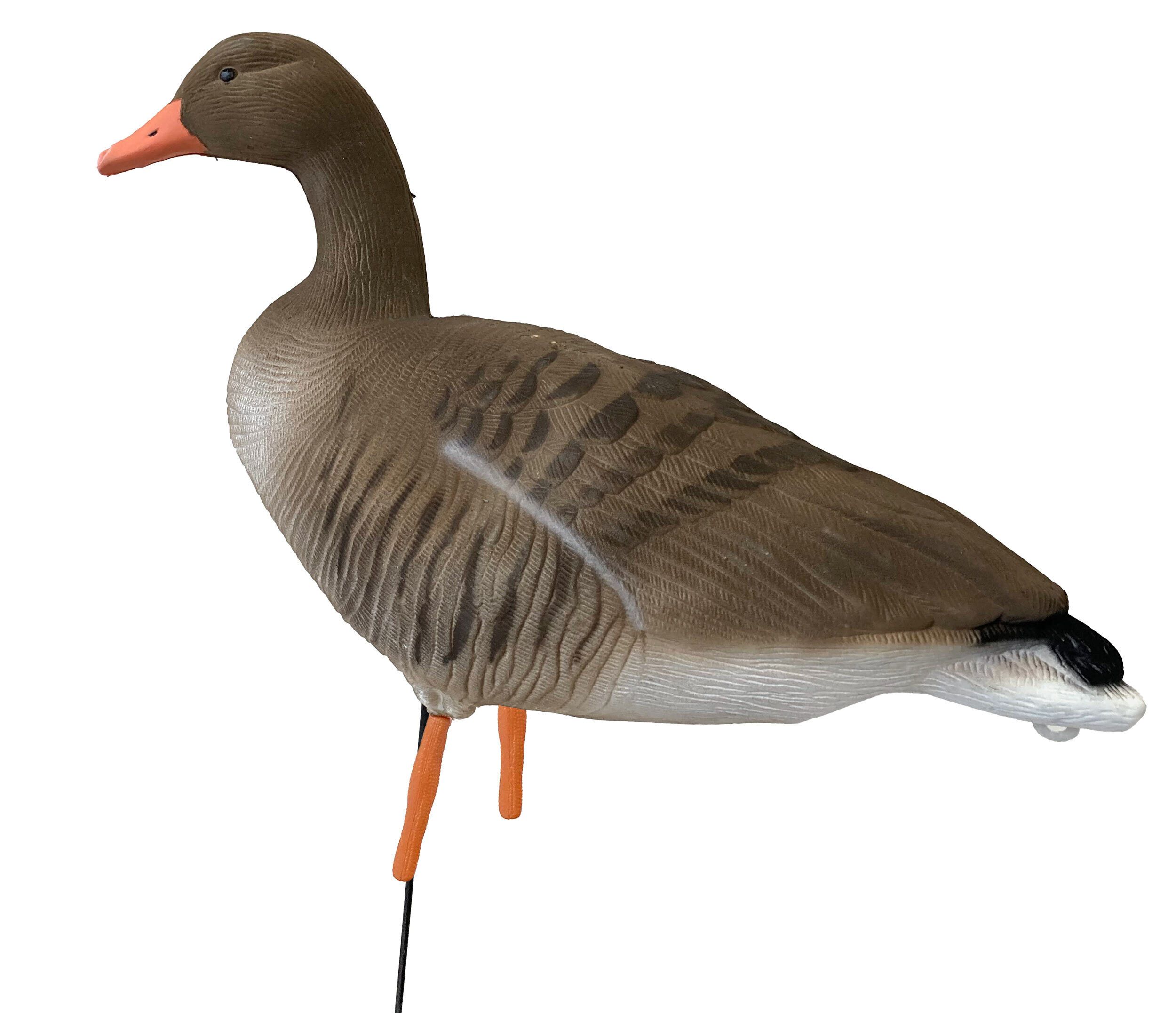 Beflockte Vollkörper-Graugänse, äsend, ruhend (6 Stück) Beflockte Vollkörper-Graugänse, äsend, ruhend (6 Stück)