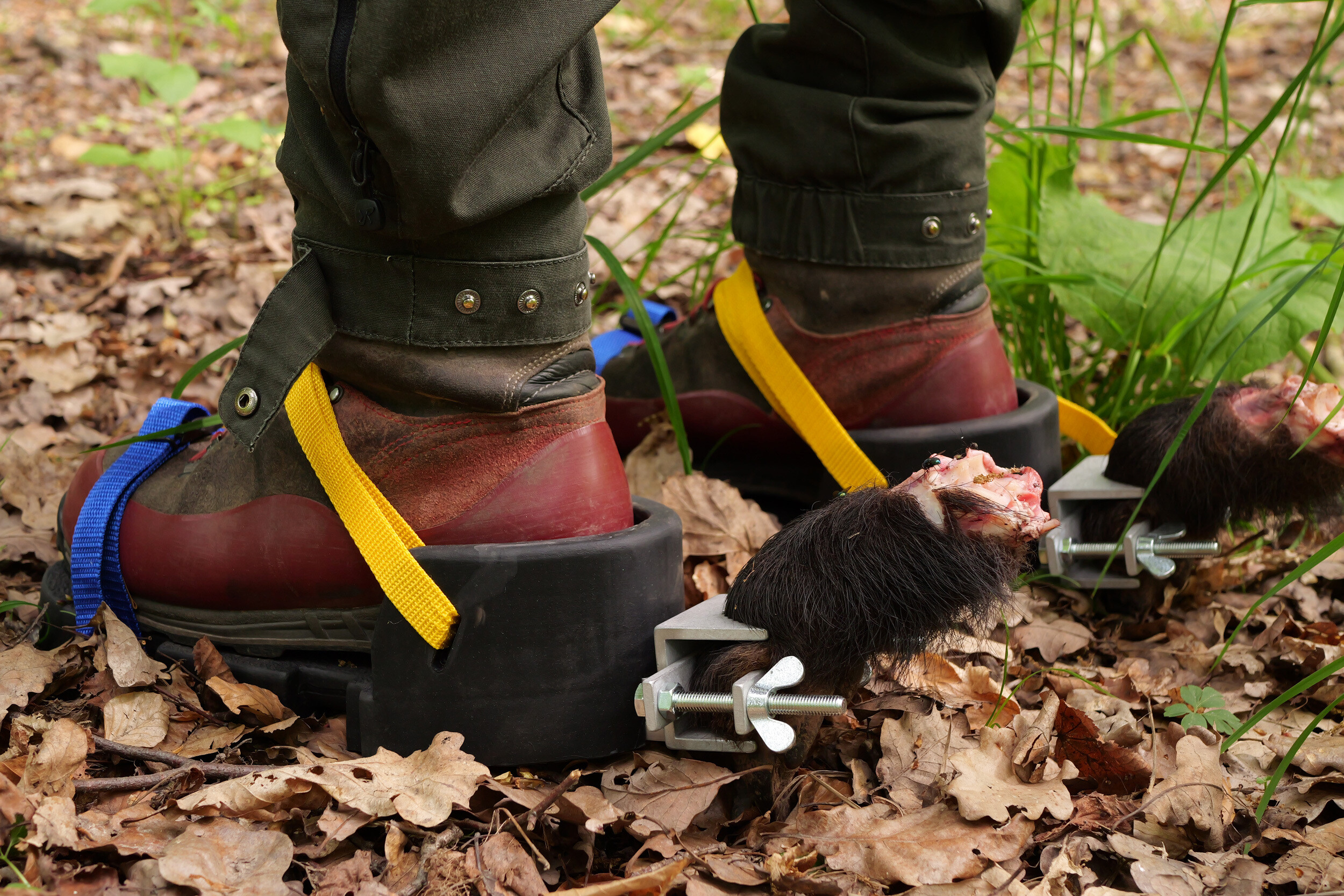 Waidwerk Fährtenschuh Premium Waidwerk Fährtenschuh Premium