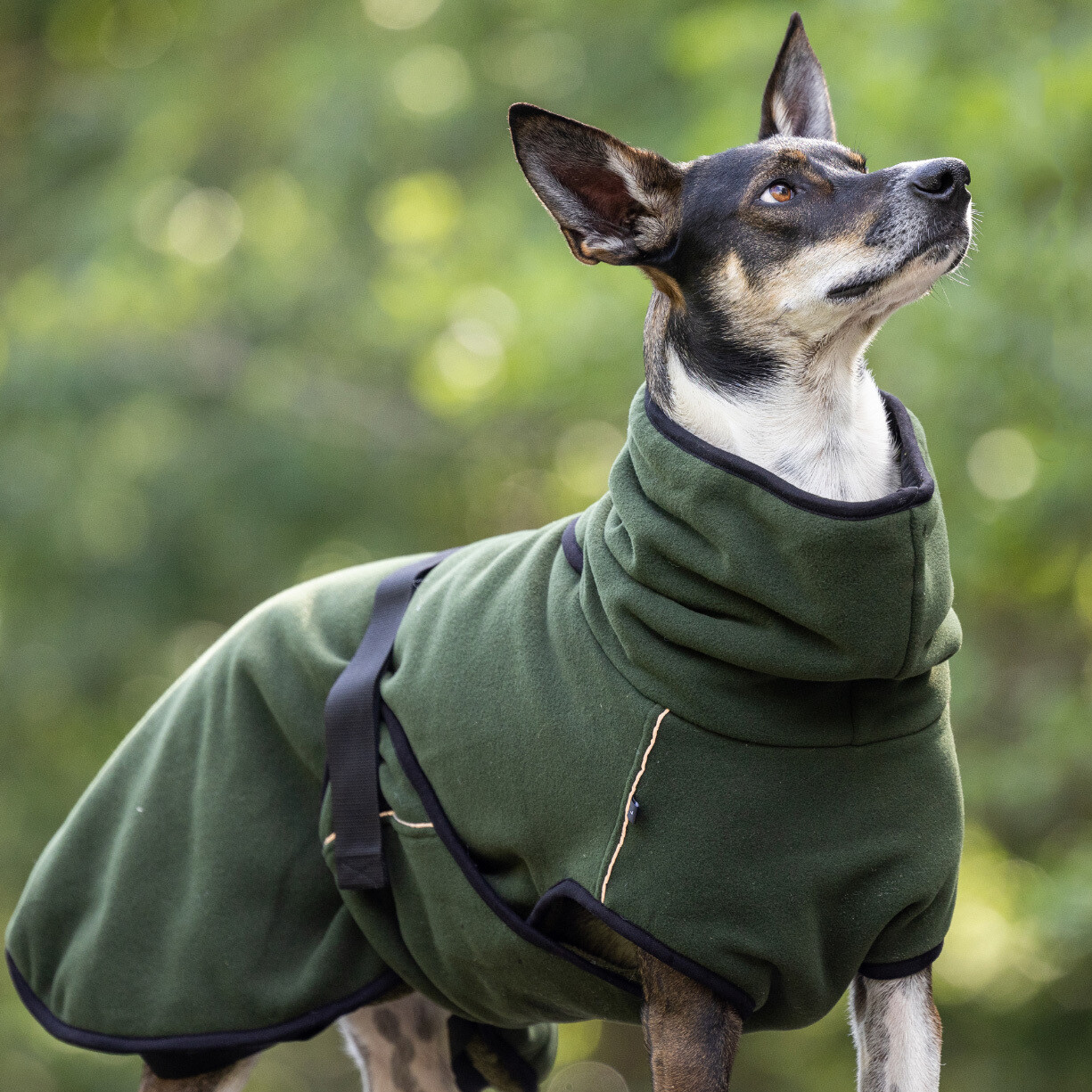 Actionfactory Hundemantel Warmup Cape Pro (pine green)