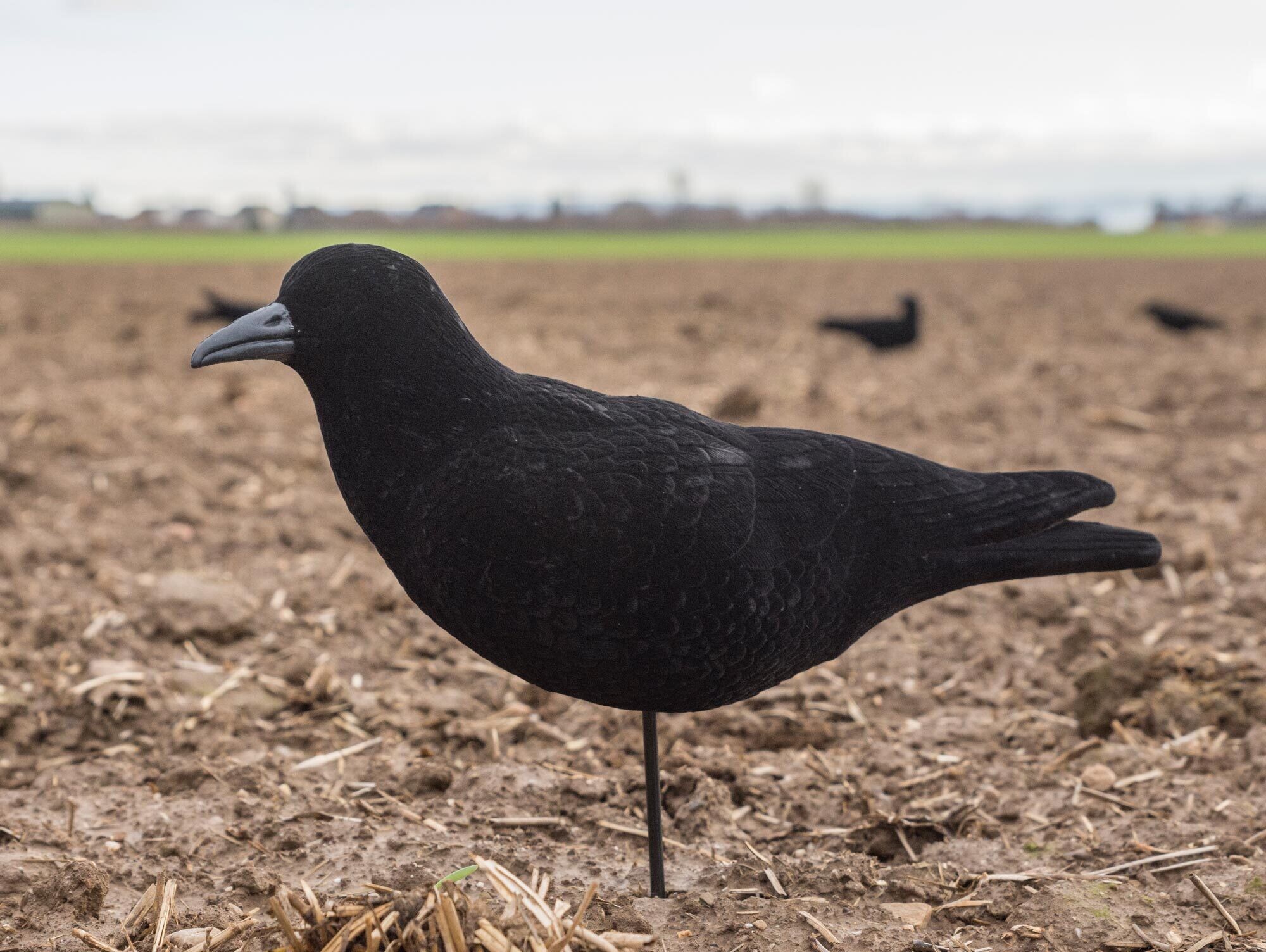 Drehbare beflockte Lockkrähe Drehbare beflockte Lockkrähe