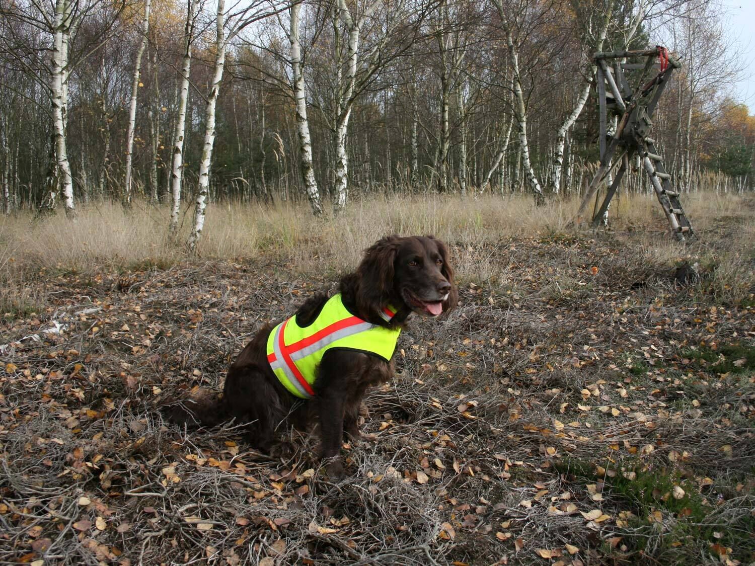 Nordforest Hunting Hundewarnweste (neongelb) Nordforest Hunting Hundewarnweste (neongelb)