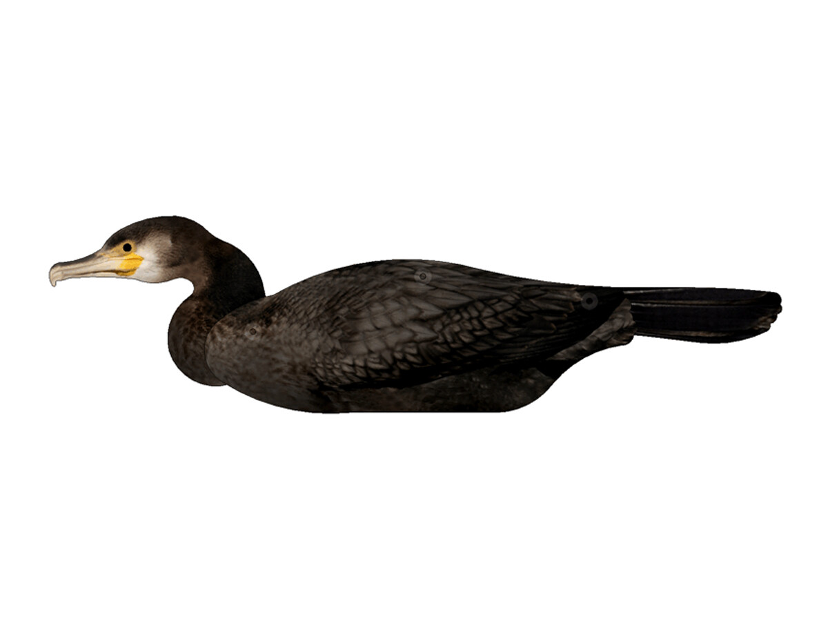 FUD Lockvogel Kormoran (6 Stück) FUD Lockvogel Kormoran (6 Stück)