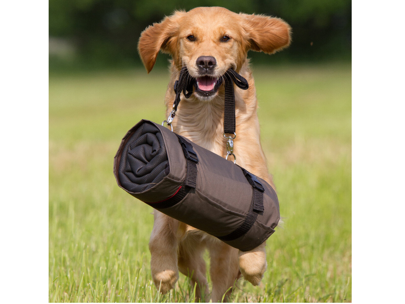 Actionfactory Hundematte Warmup Blanket Basic