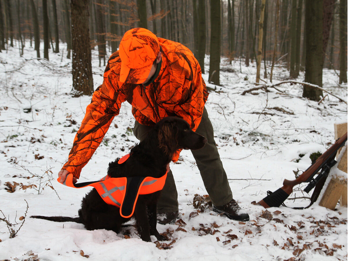 Hundesignalweste Holstein (Orange)