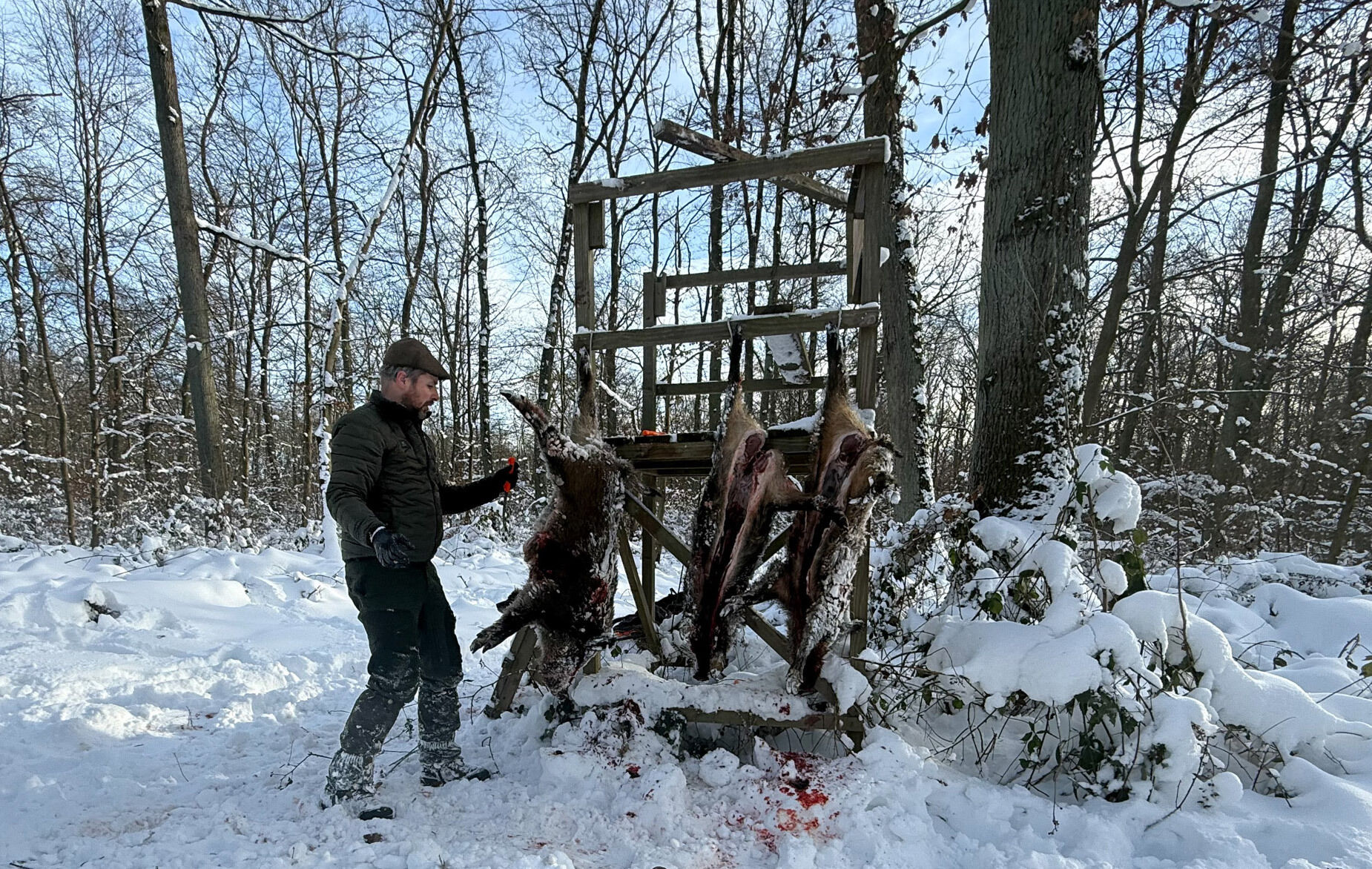 Dick Aufbrechmesser für hängendes Aufbrechen + Scheide