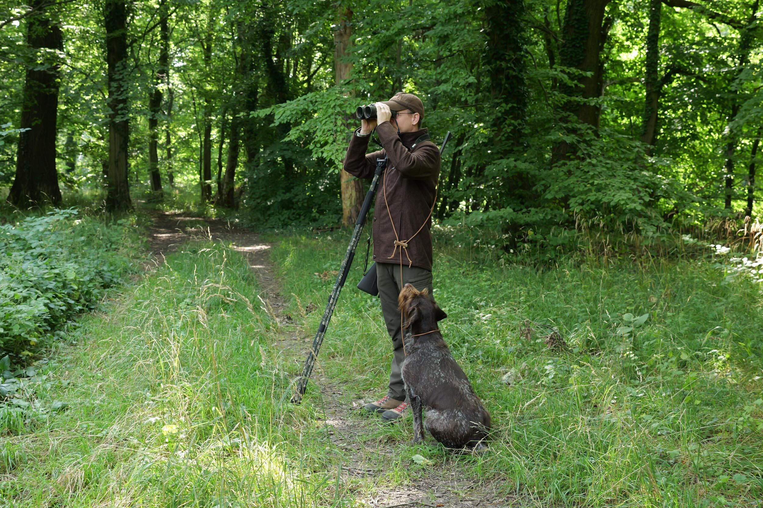 Jagdhund Gamskogel 2 Leichte Funktionsjacke (braun) Jagdhund Gamskogel 2 Leichte Funktionsjacke (braun)