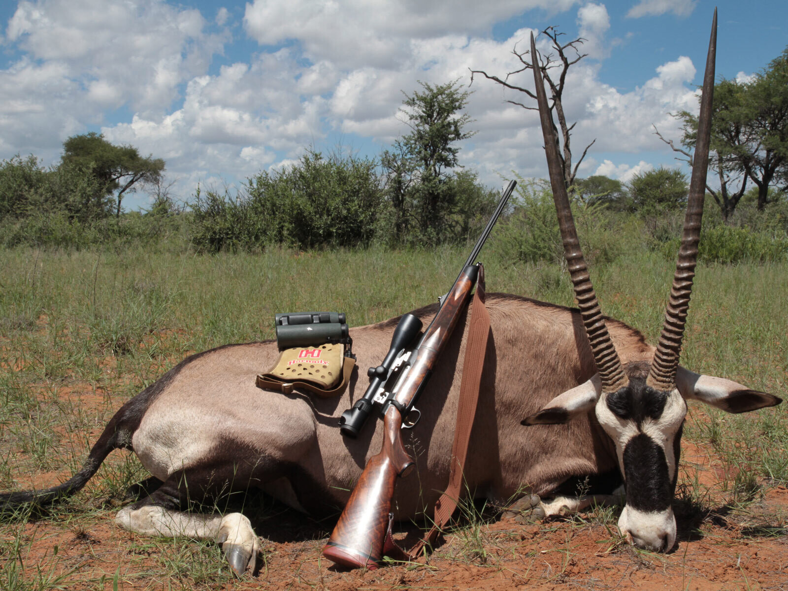 Hornady Fernglasgurt (Binocular Harness)