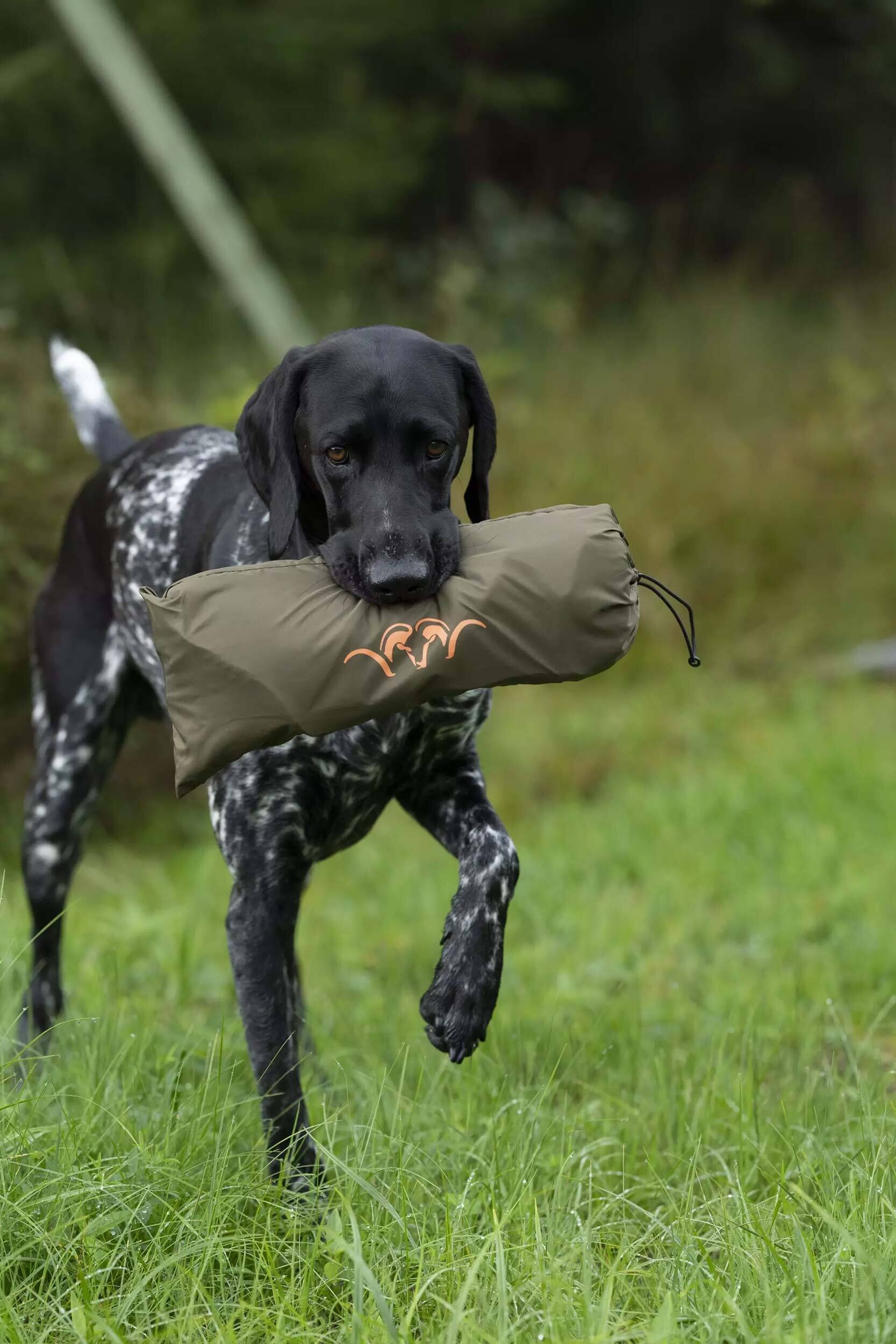 Blaser Hundedecke Dunkel Oliv (70 x 100 cm) (dunkeloliv)
