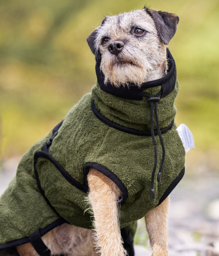 Actionfactory Warmup Cape Pro Mini Hundemantel (pine green)