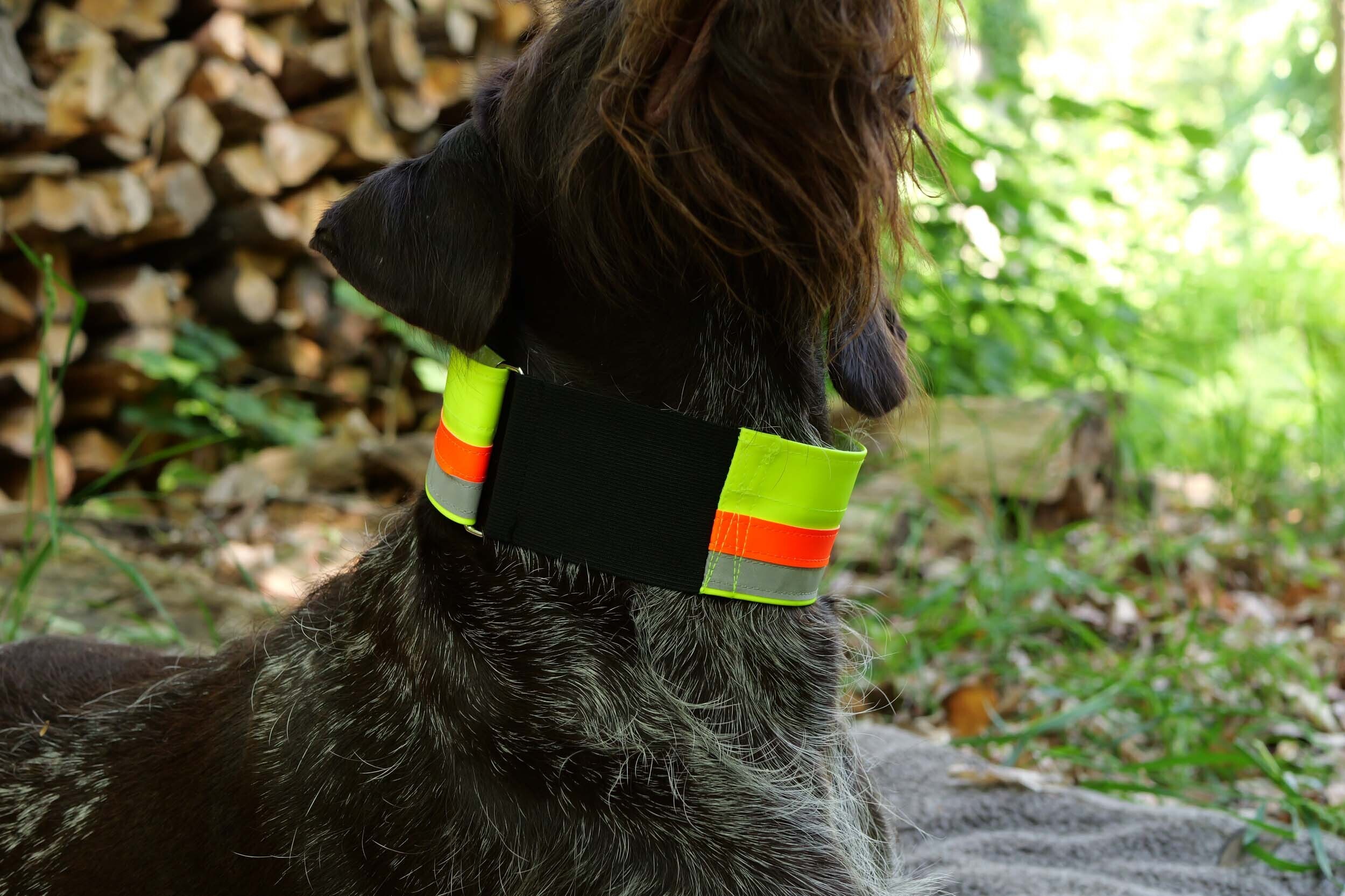 Signalhalsung Zantex (variabel, mit Klettband)