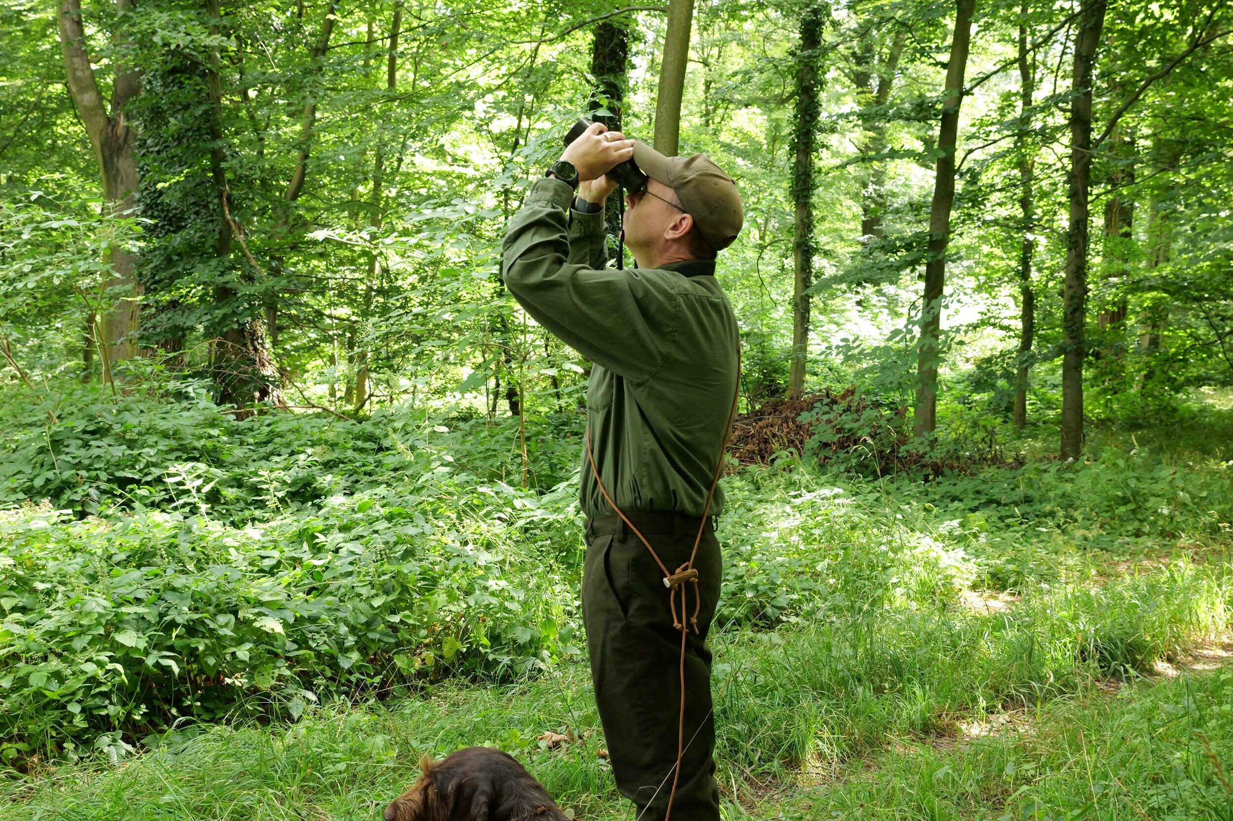 Hubertus Velveton-Jagdhose (oliv) Hubertus Velveton-Jagdhose (oliv)