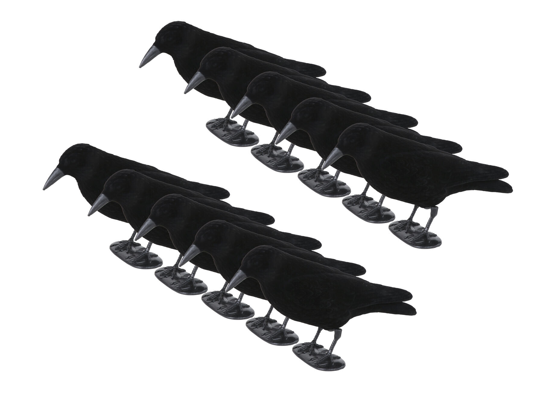 Lockkrähen beflockt Set (10 Stück)