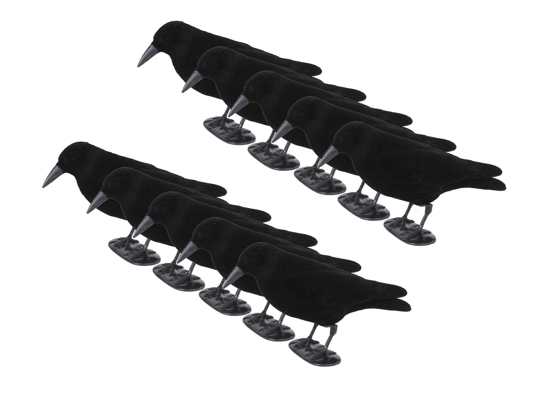 Lockkrähen beflockt Set (10 Stück) Lockkrähen beflockt Set (10 Stück)