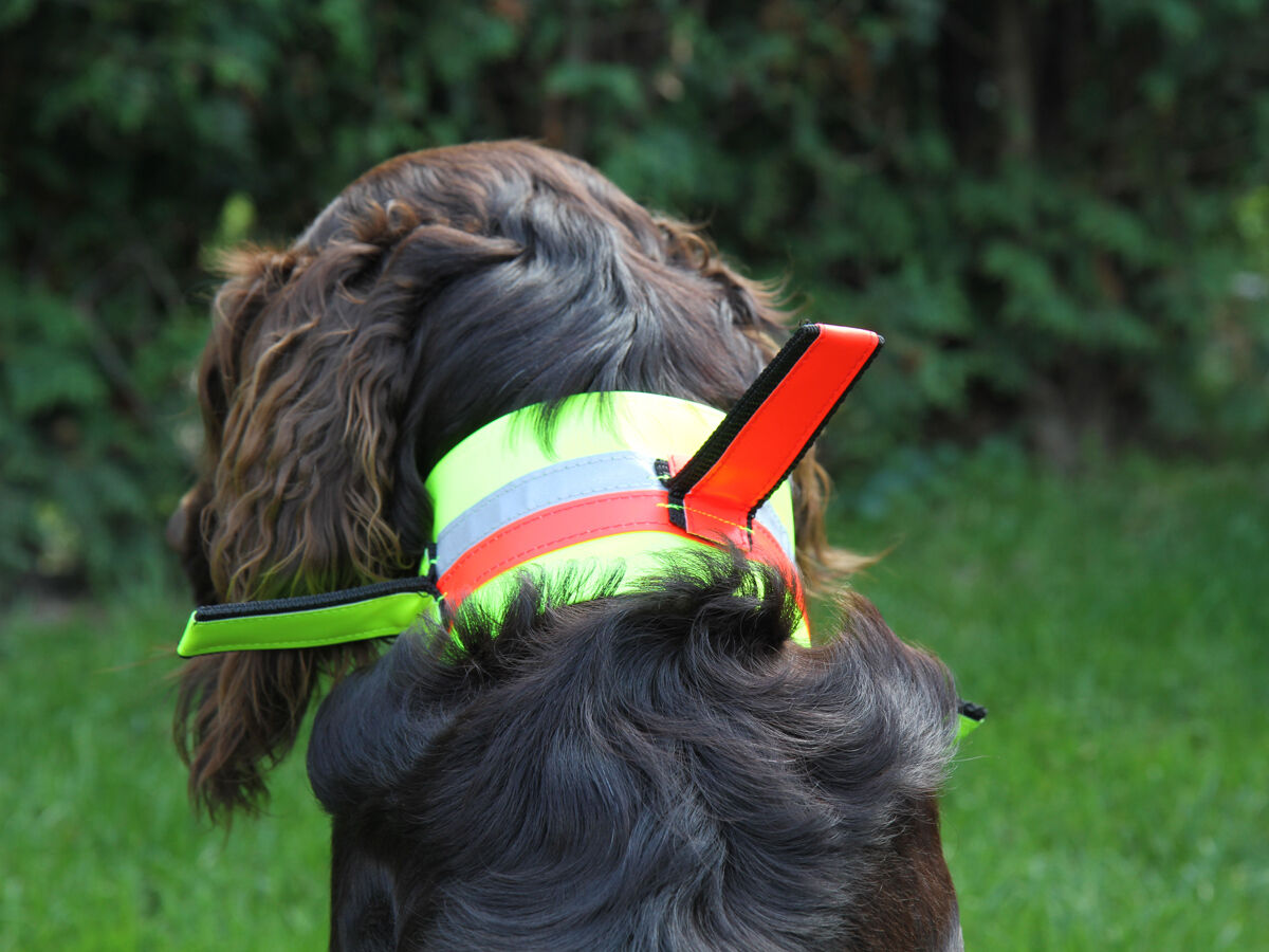 Hundesignalhalsung mit drei Fahnen (Schwedenhalsung) Nordforest Hunting Hundewarnhalsung mit 3 Fahnen (neongelb)