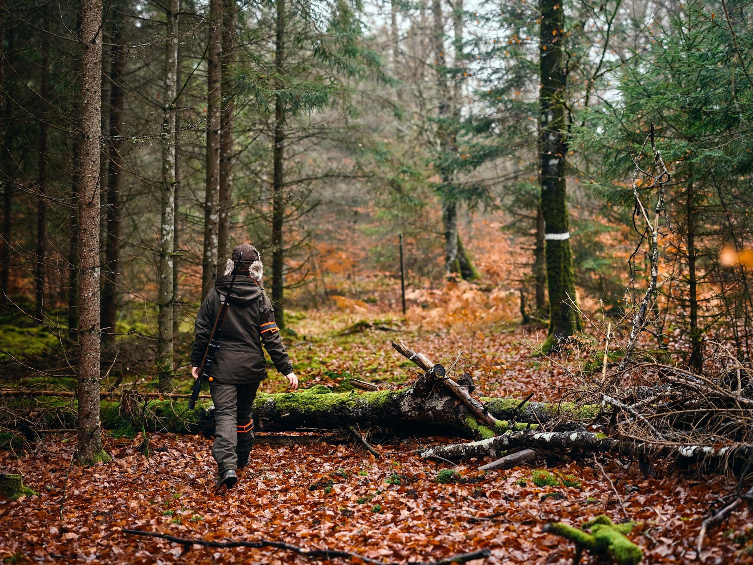 Pinewood Hunter Pro Xtr 2.0 Damenjacke (Mossgreen)