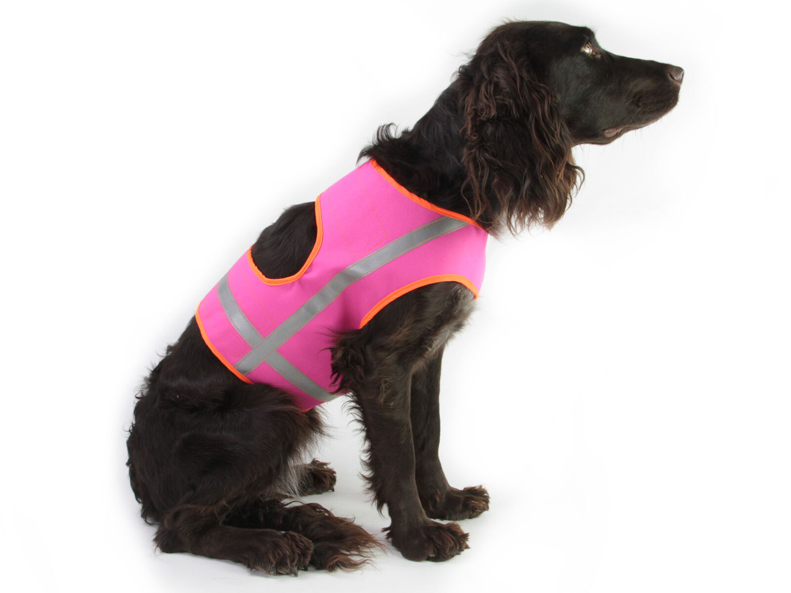 Hundesignalweste Holstein (Pink) Hundesignalweste Holstein (Pink)