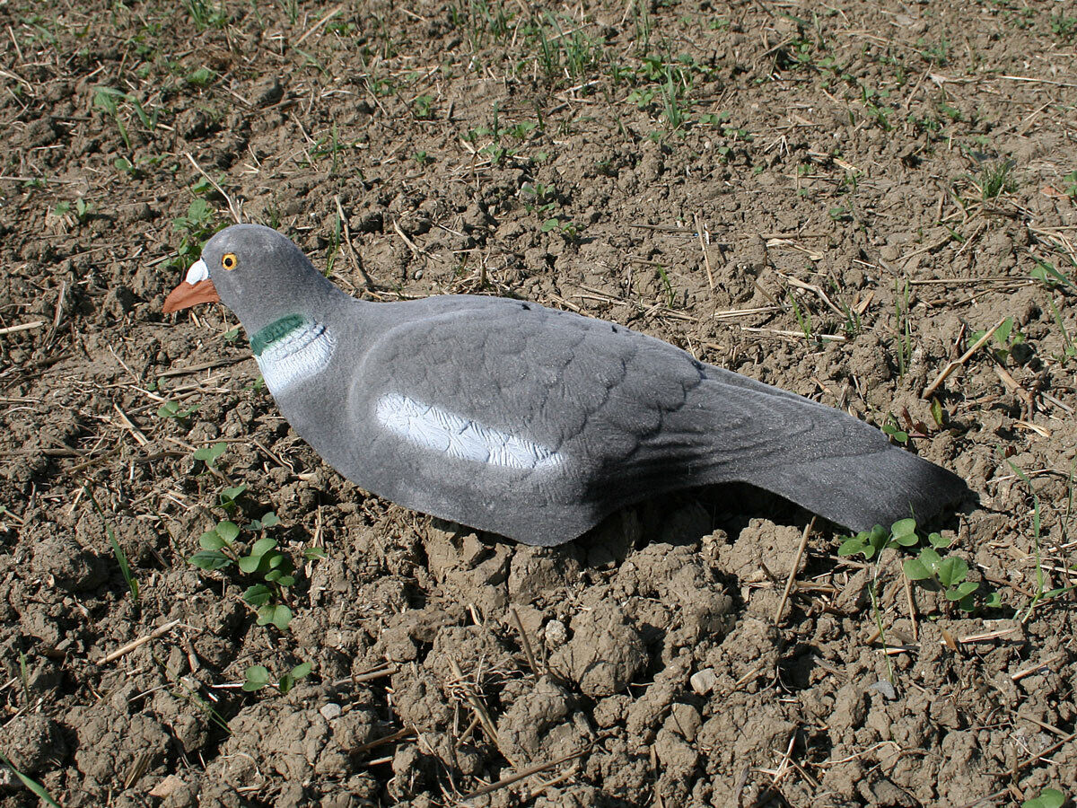 Beflockte Halbschalen-Locktaube Beflockte Halbschalen-Locktaube