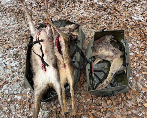 Sehr große Wildstücke in der großen Wildwanne, Reh in der kleinen Wildwanne