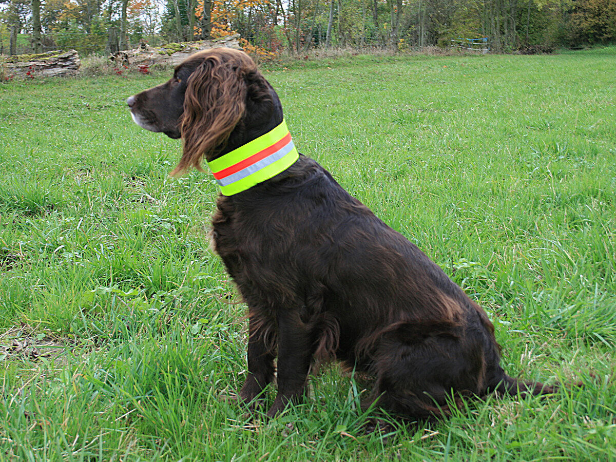 Nordforest Hunting Hundewarnhalsung (neongelb)