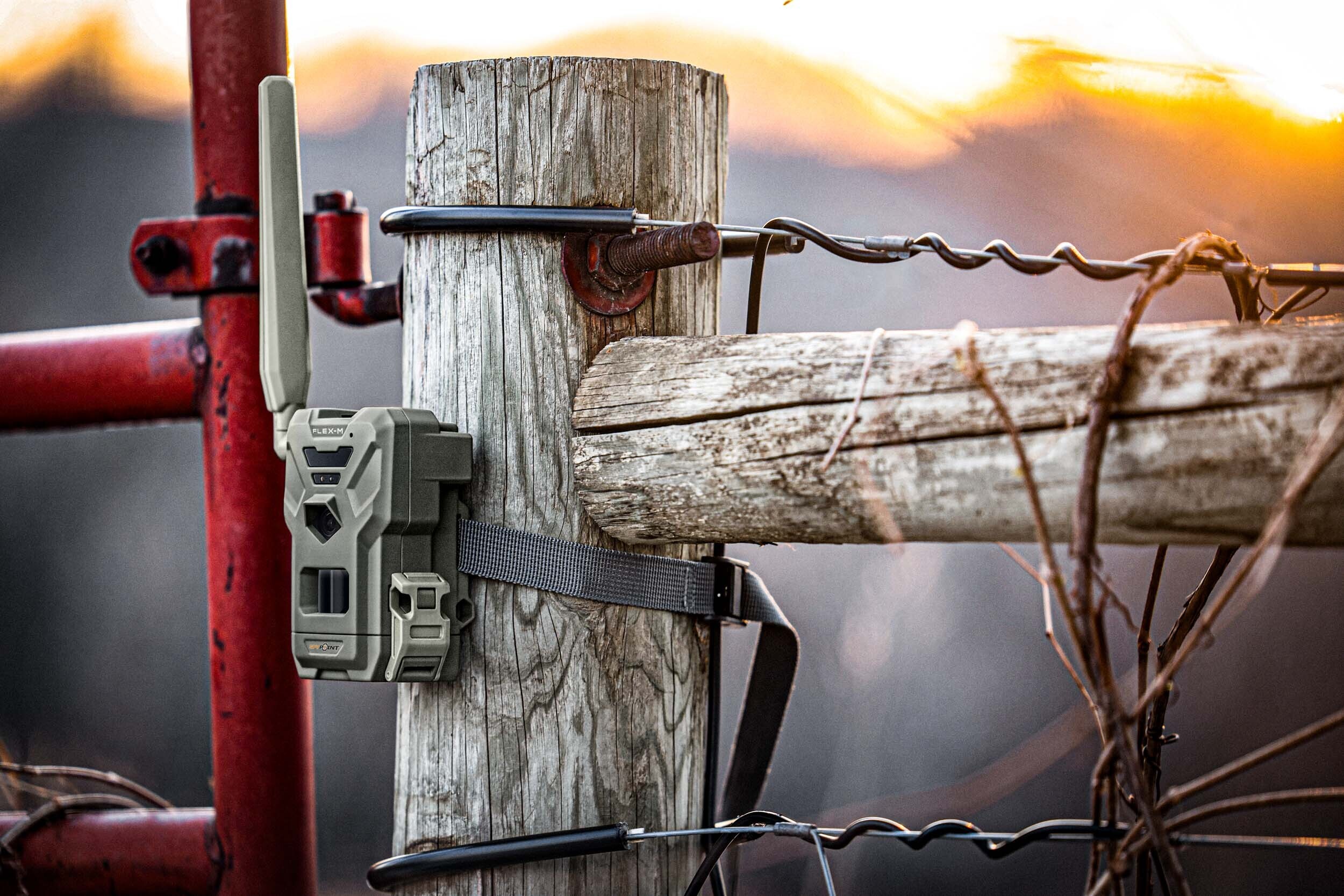 Spypoint Wildkamera FLEX-M Spypoint Wildkamera FLEX-M