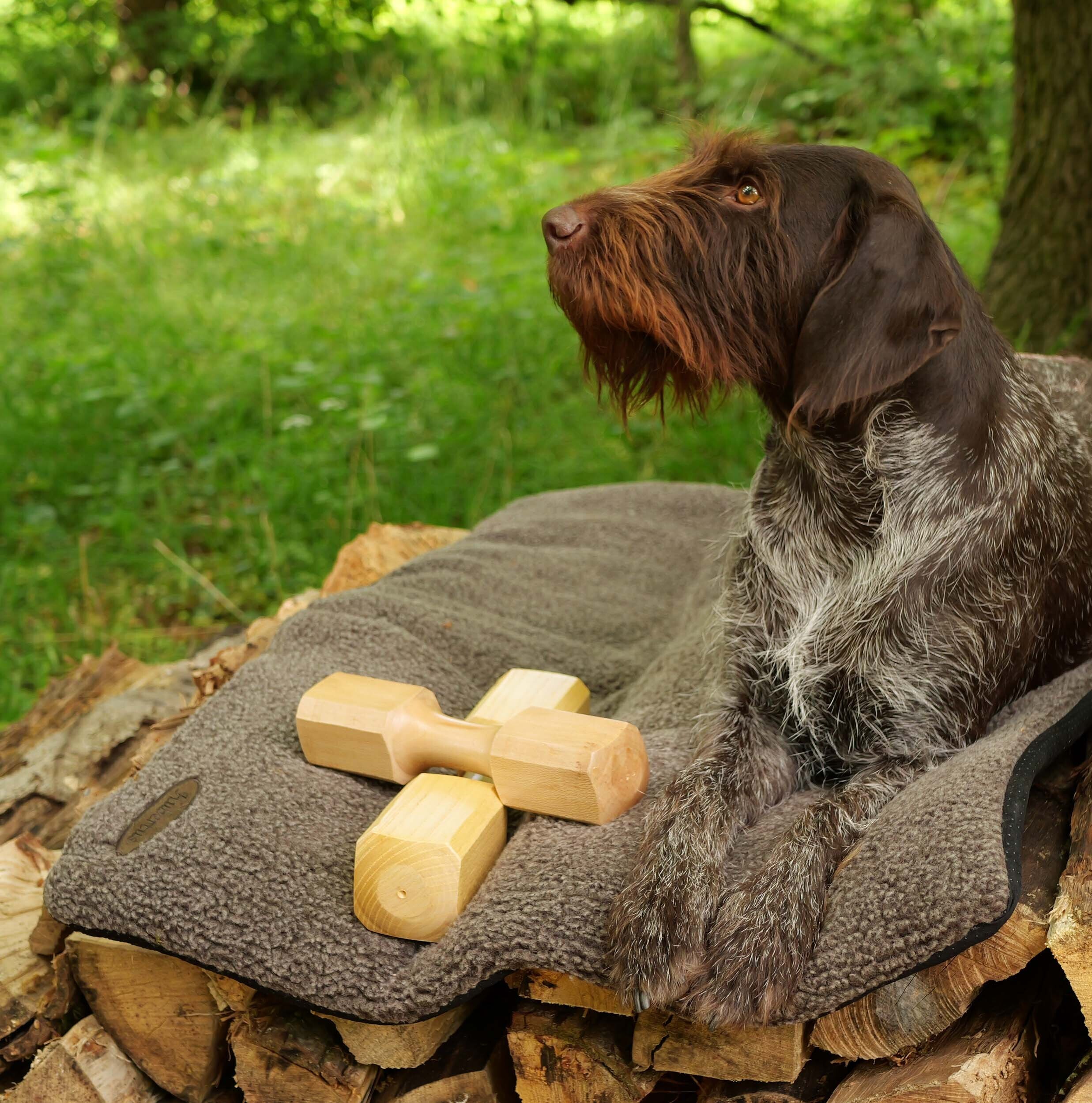 Apportierholz (Apportierbock Holz) Apportierholz (Apportierbock Holz)