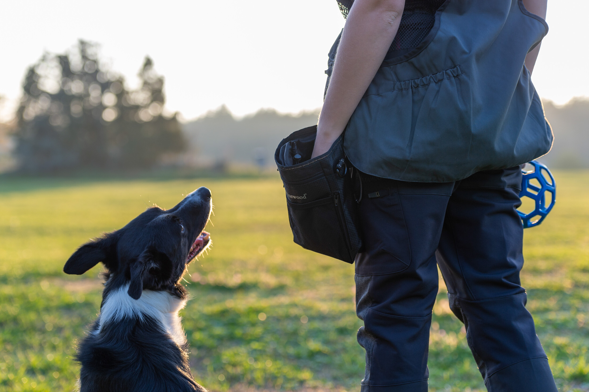 Pinewood Dog Sports Tasche (Black) Pinewood Dog Sports Tasche (Black)