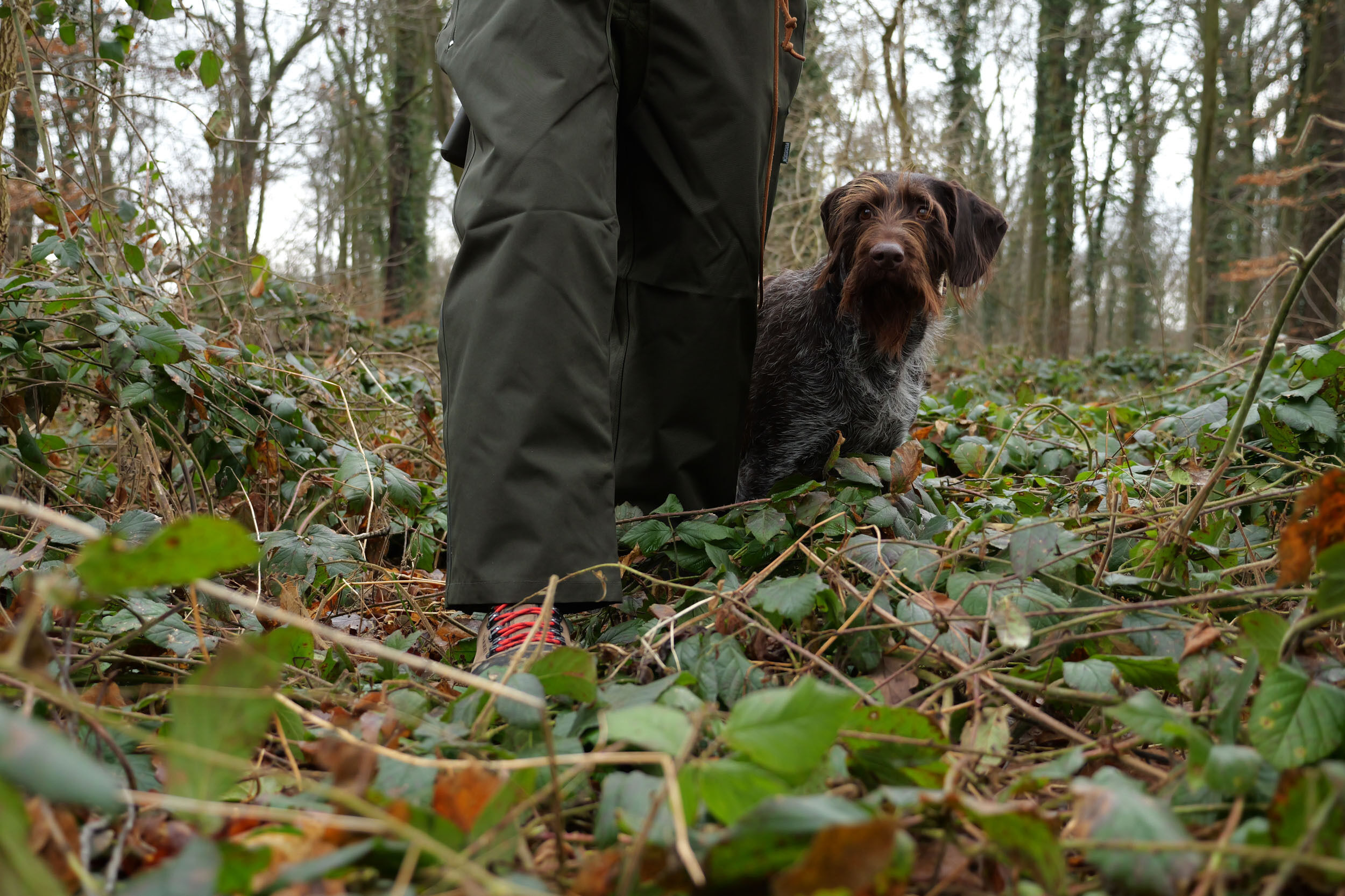 Treib- und Drückjagd-Beinlinge Stronger 900 Treib- und Drückjagd-Beinlinge Stronger 900