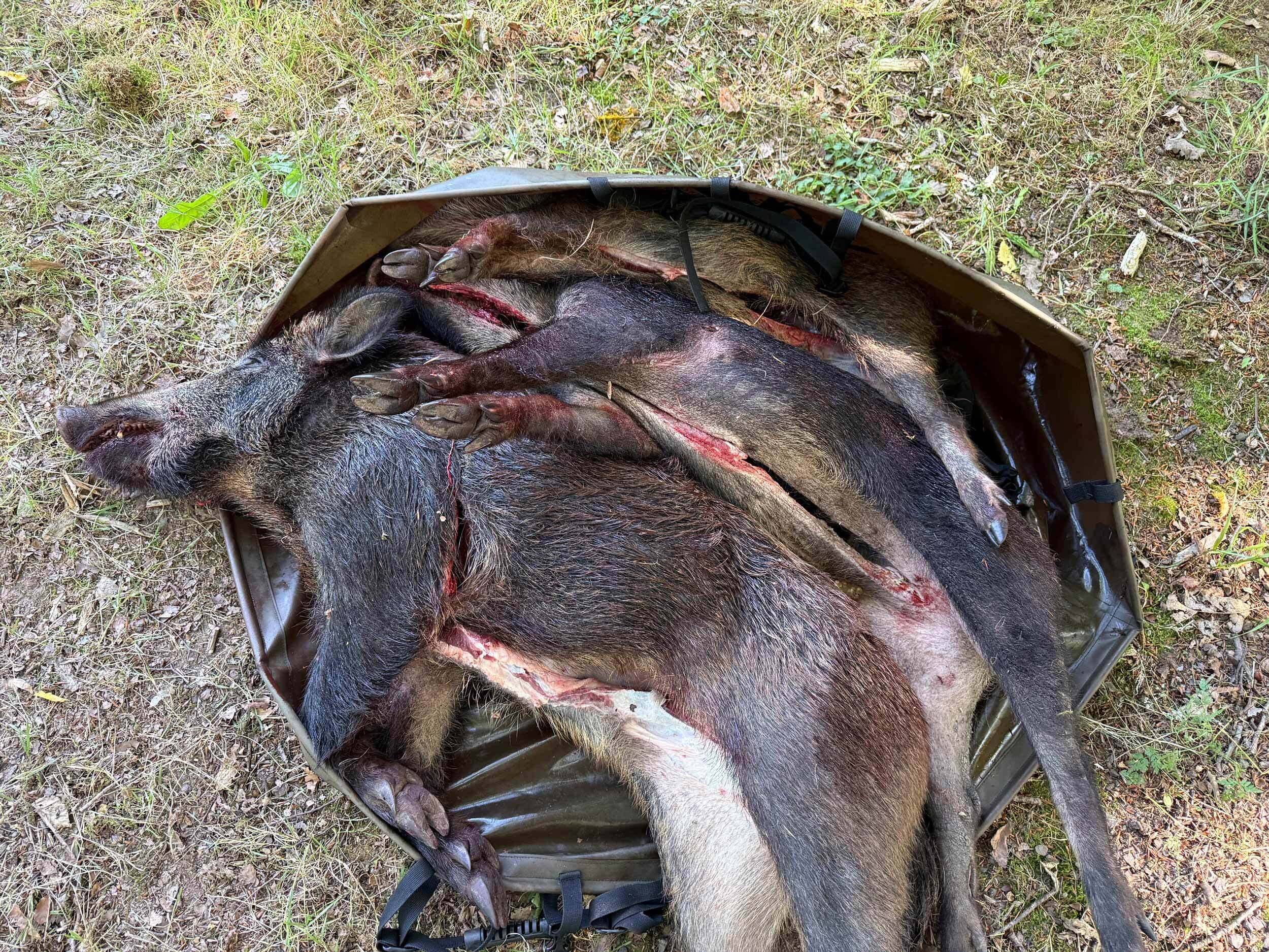 Hubertus Wildwanne Rot-und Schwarzwild (faltbar)