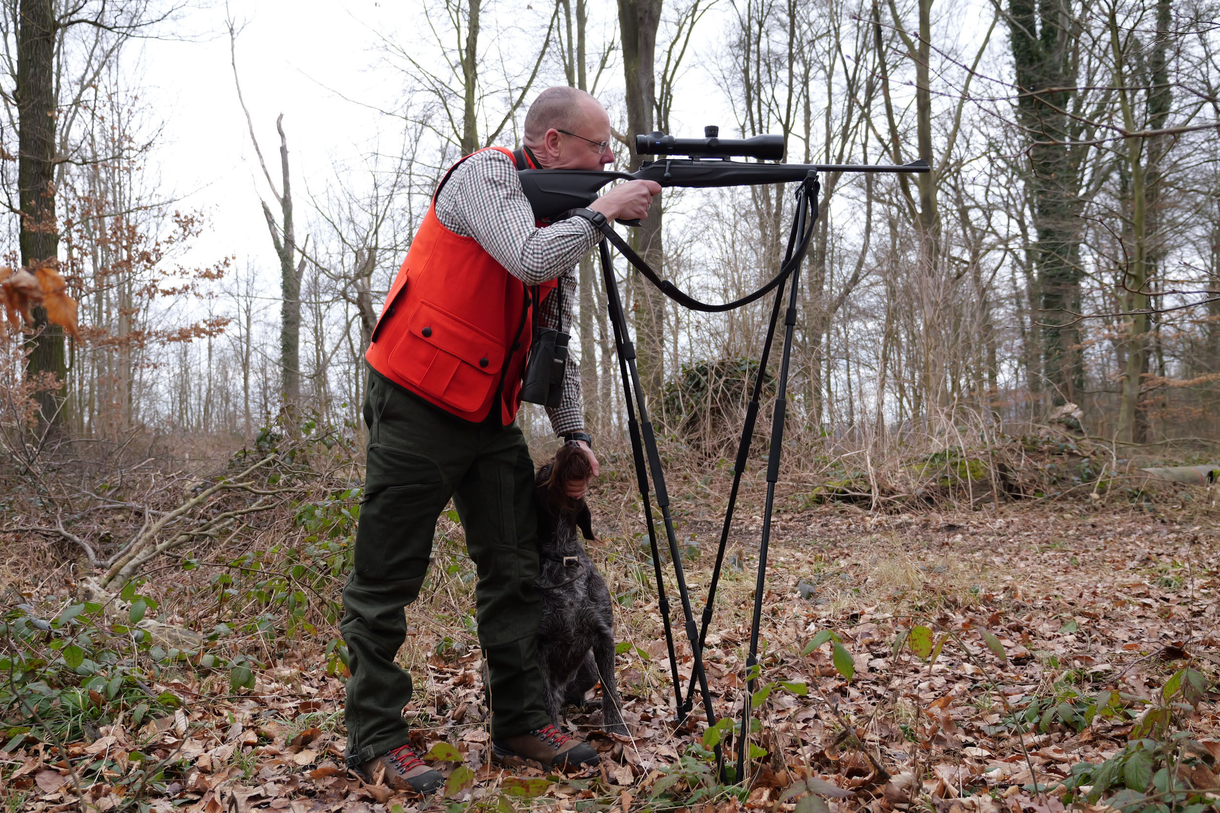Jagdhund Lodenweste Lessach (rot)