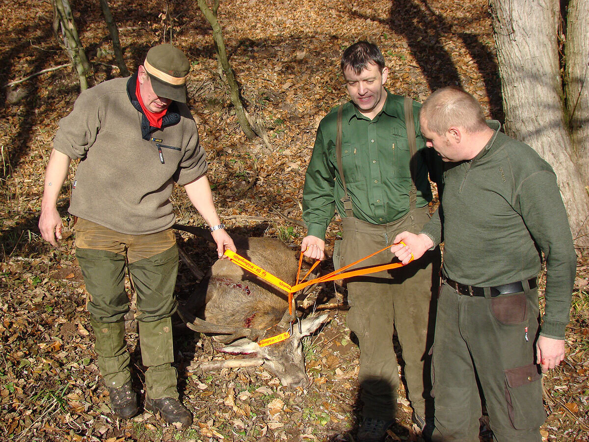 Dreizug-Wildbergehilfe bis 300 kg (bis 3 Personen, orange)