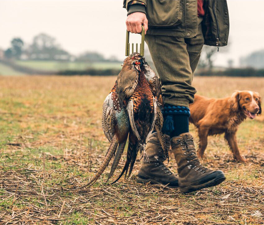 Jack Pyke Game Carrier faltbarer Wildgalgen (grün) Jack Pyke Game Carrier faltbarer Wildgalgen (grün)