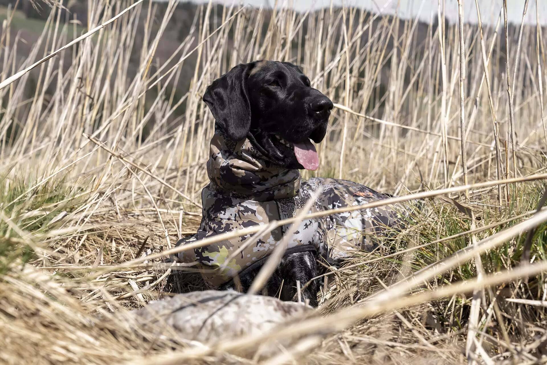 Blaser Hundeponcho (huntec camo)
