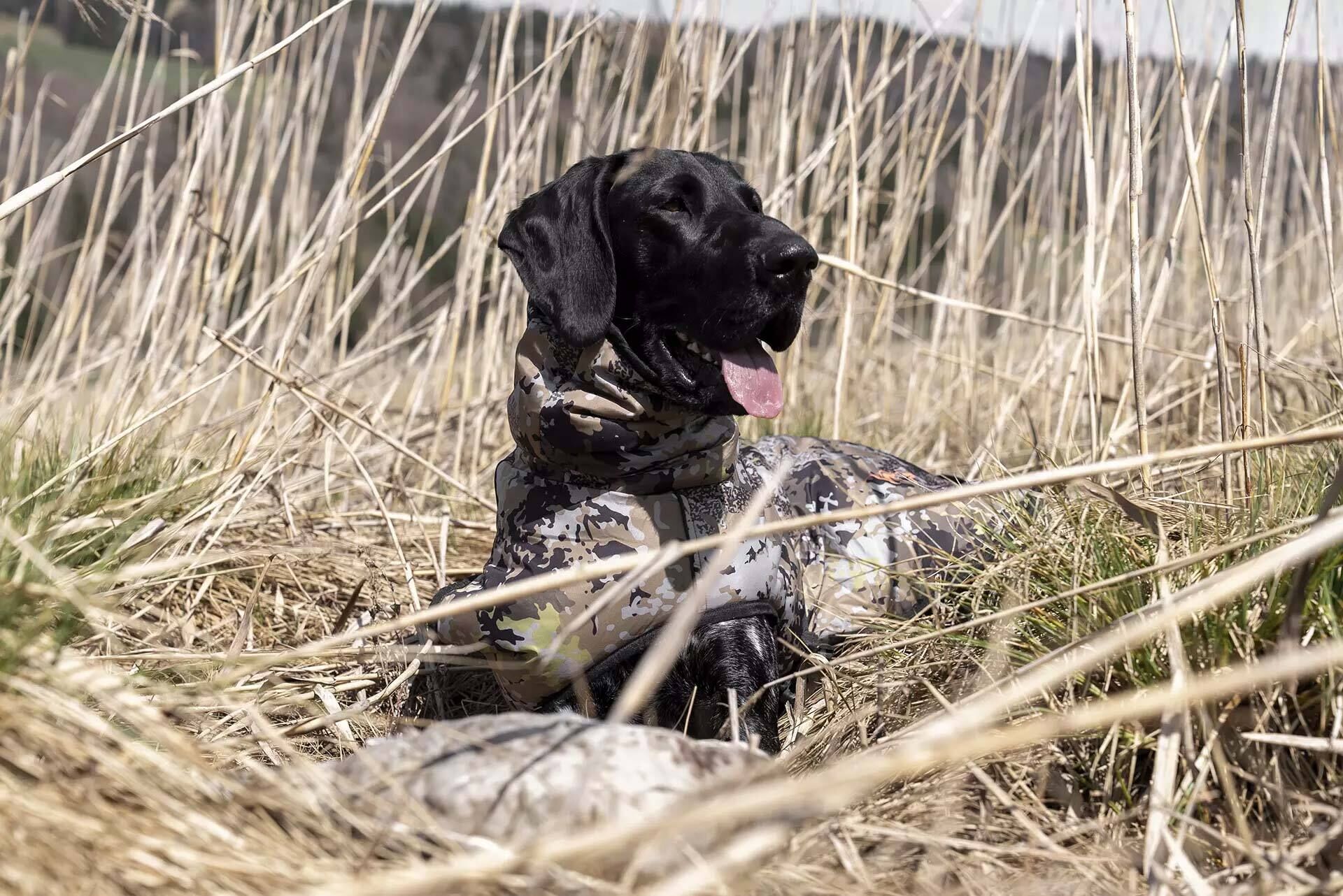 Blaser Hundeponcho (huntec camo) Blaser Hundeponcho (huntec camo)