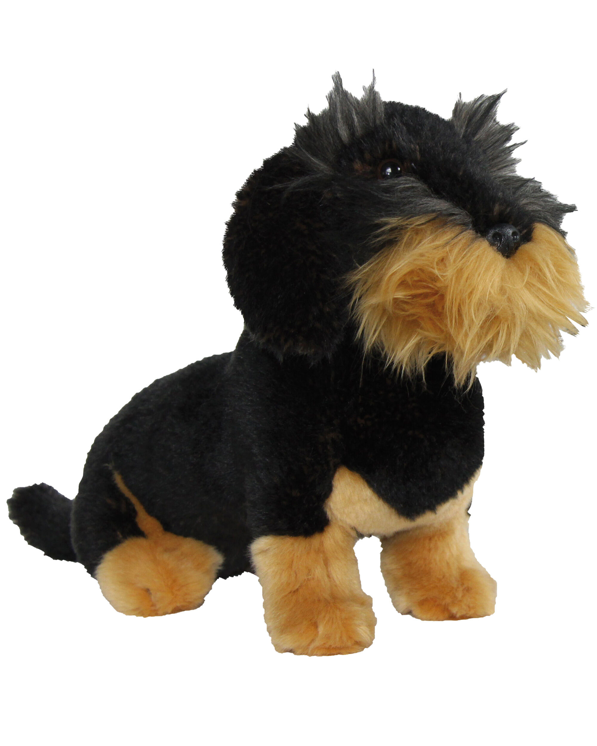 Plüschtier Rauhaardackel Wastl