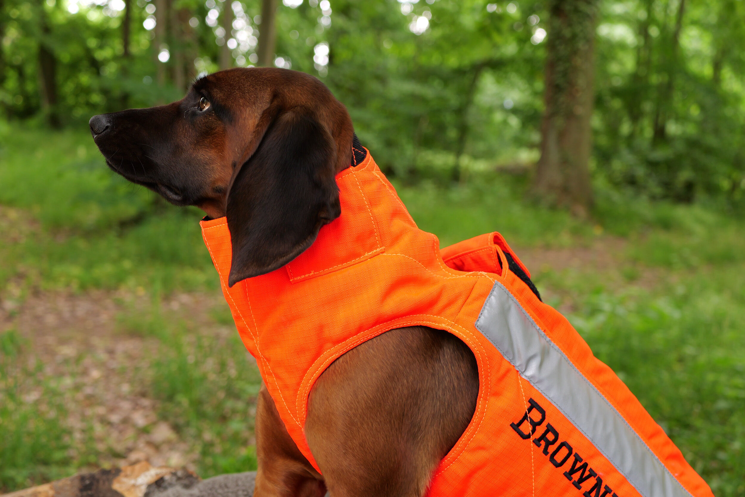 Browning Protect Pro Hundeschutzweste (orange) Browning Protect Pro Hundeschutzweste (orange)