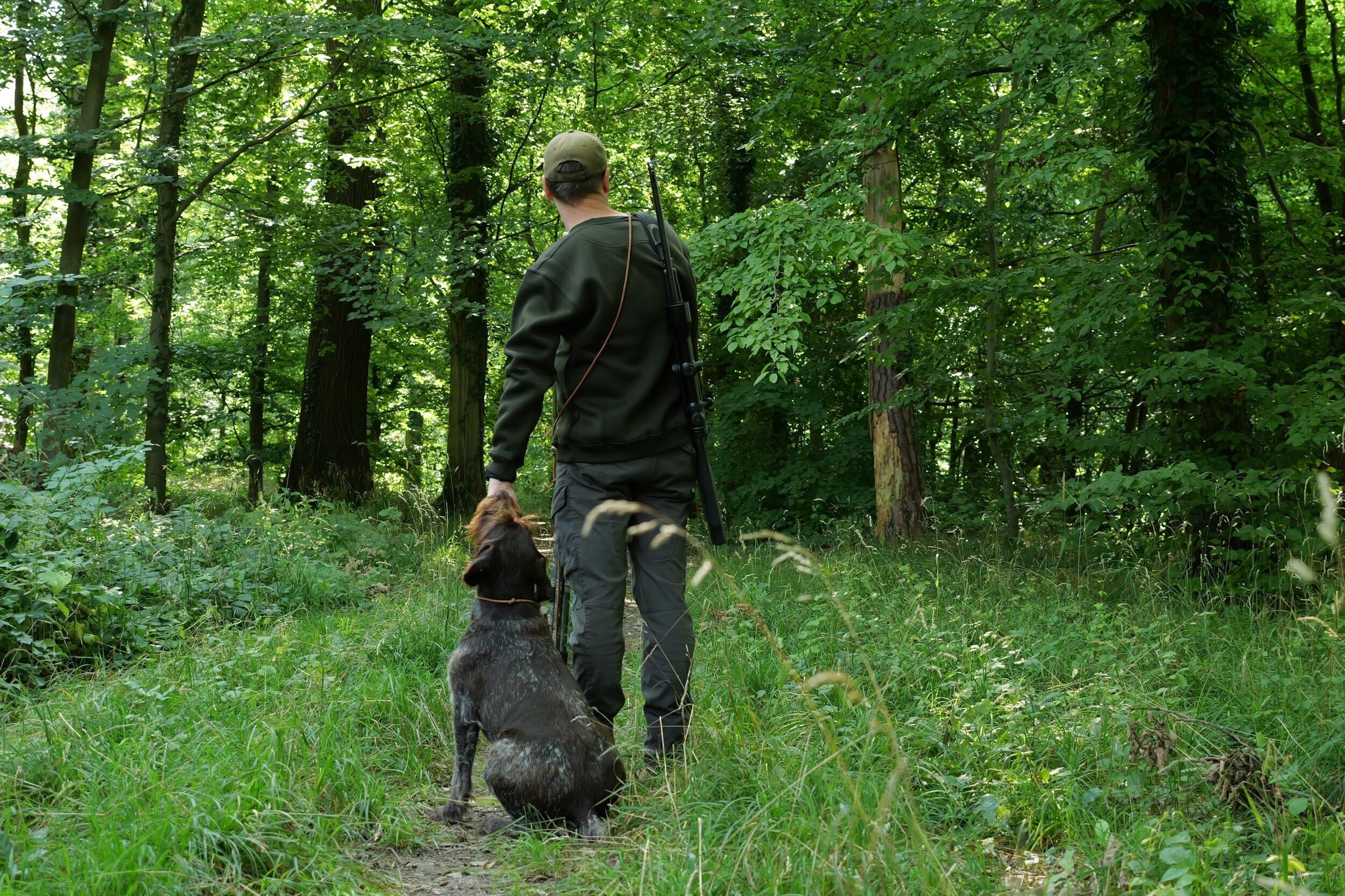 Hubertus Sweatshirt Wildschweinmotiv (oliv)